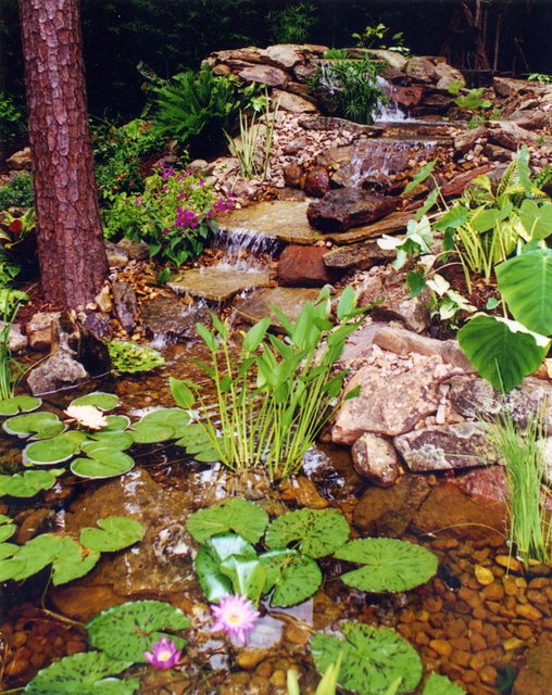 Slideshow image